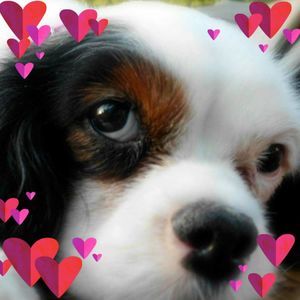 Meet your Posher, Cheryl